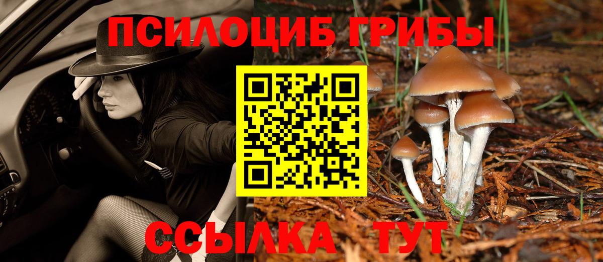 Галлюциногенные грибы Psilocybe  Вход с VPN  Набережные Челны 